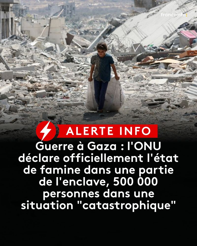Visuel de France Info avec ce texte : Guerre à Gaza : l'ONU déclare officiellement l'état de famine dans une partie de l'enclave, 500 000 personnes dans une situation 