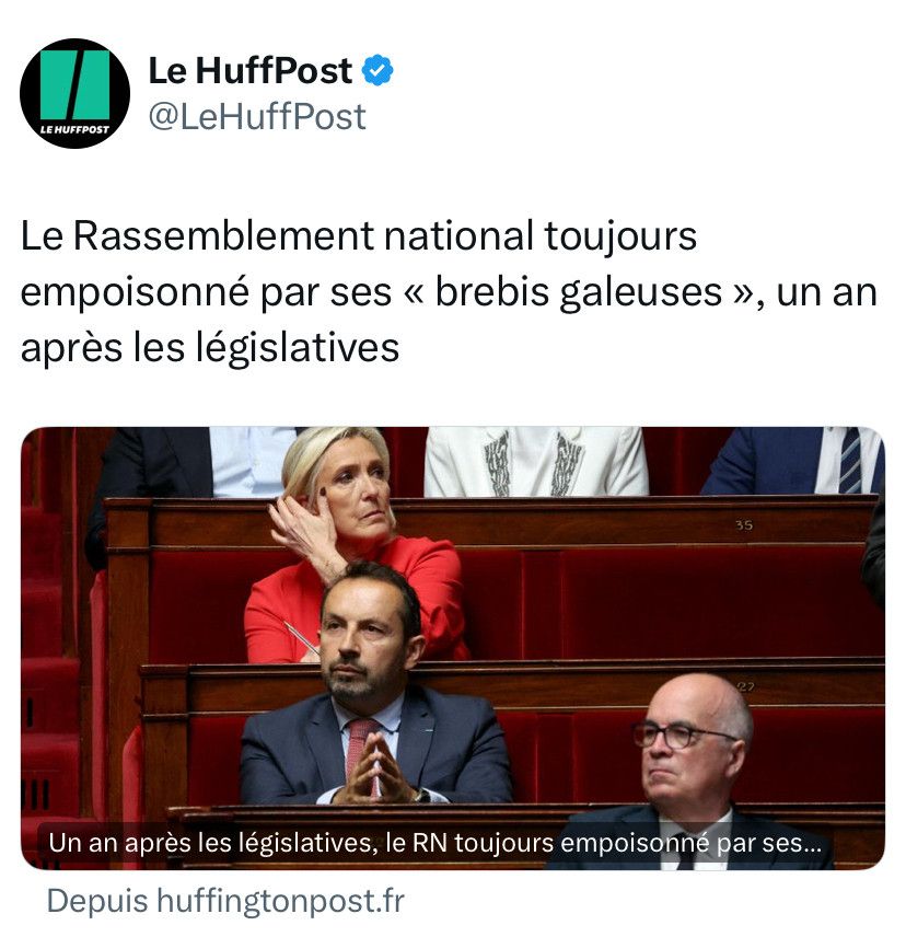 Capture d'écran d'un Post X du HuffPost avec ce texte :

Le Rassemblement National toujours empoisonné par ses "brebis galeuses", un an après les législatives