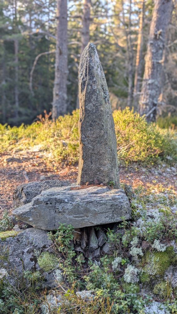En spiss og høy gråstein reist på høykant, under ligger en annen steinhelle, og under den er det tørre vedkubber og bjørkenever.