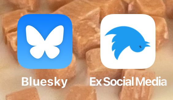 Screenshot of my home screen showing two icons, Bluesky and Wx Social Media. The second is of an expired Polly..