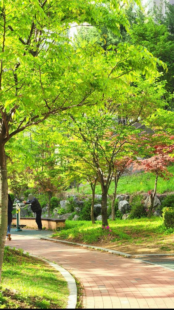 세로의 비율이 긴 사진. 가운데 바닥에 연갈색 보도블럭이 깔린 길이 있고 길의 양 옆으로 식물들이 푸릇푸릇 자라있다. 수풀 사이에 자란 나무가 무성하다.

덧붙이는 말: 전체적으로 청량한 연두빛 사진입니다. 초여름의 아름다움을 함께 느끼고 싶어요!