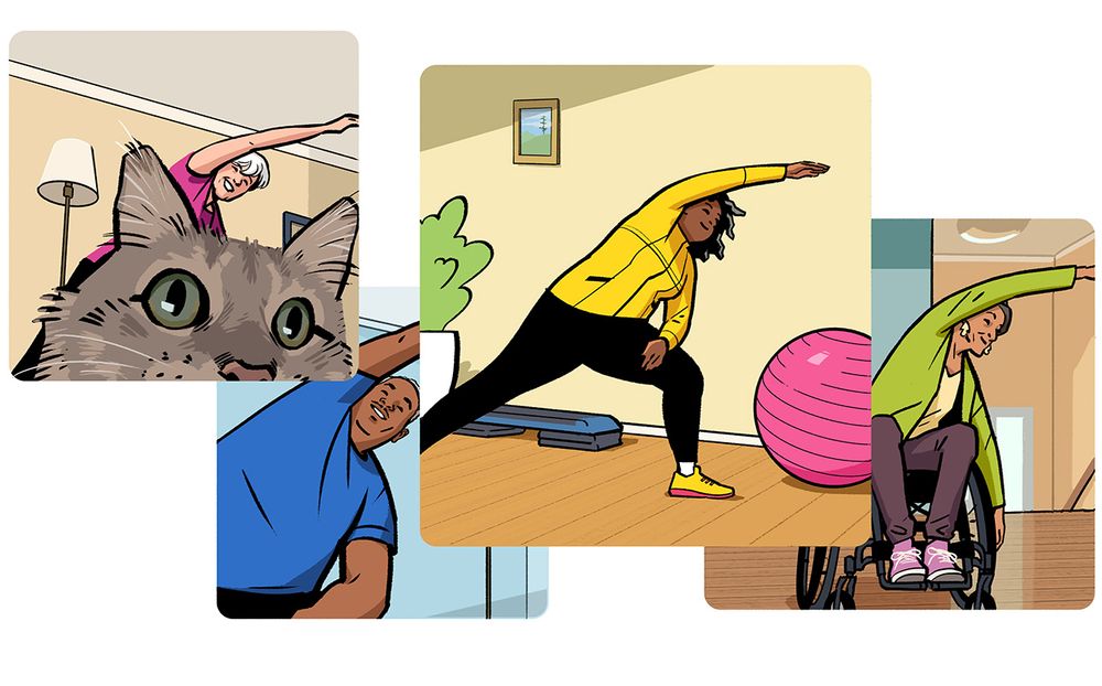 Illustration by Jori Bolton showing three square video call feeds of people doing exercises. In the top left is a low angle shot of a woman with white hair in a living room, but most of the shot is taken up by a cat's face looking at the screen. Second from the left show's a man in a t-shirt, reaching one arm over to the side. Third from the left shows a woman in long sleeved active-wear reaching over to the side in a lunge, in front of a potted plant, a yoga ball, and a fitness riser, and then far right shows a woman in a wheel-chair also reaching over to the side. Illustrated for Renaissance Magazine from Entente Education Canada with design by Hambly & Woolley.