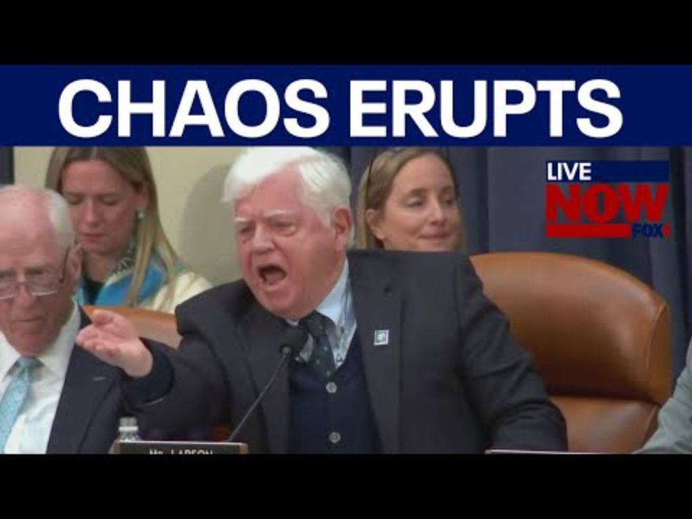 Chaos erupts during DOGE hearing | LiveNOW from FOX
