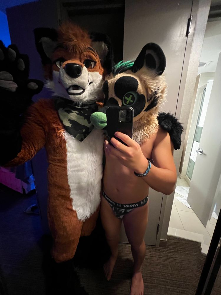 Fox and Hyena