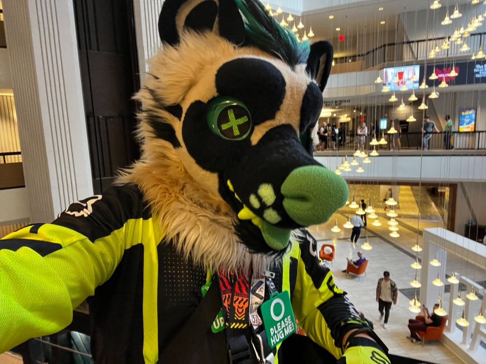 Hyena in the Hilton