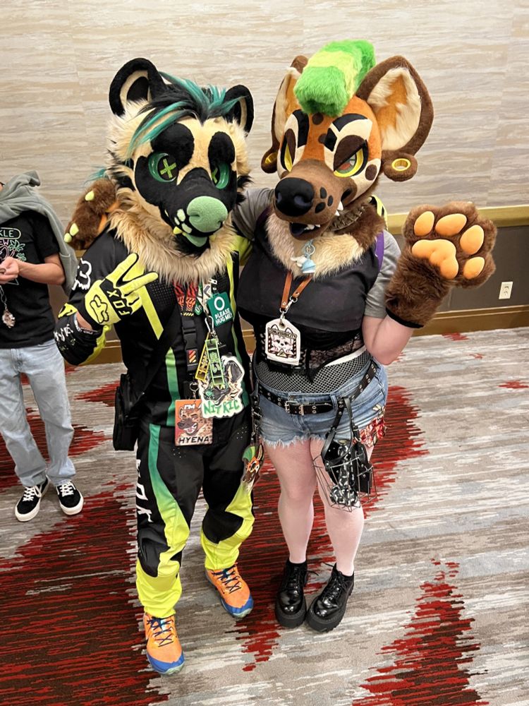 Two hyenas