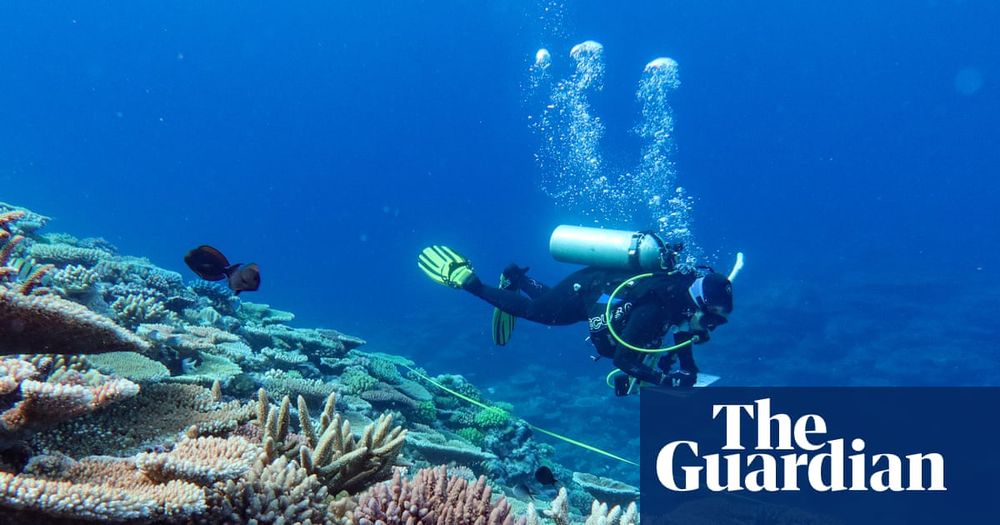 Researchers warn reef may reach tipping point where coral cannot recover fast enough between major catastrophic events
