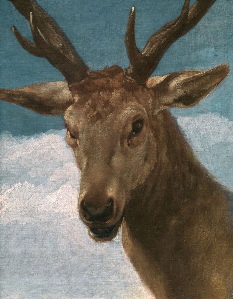 “Cabeza de venado” (1626 - 1636) de Velázquez