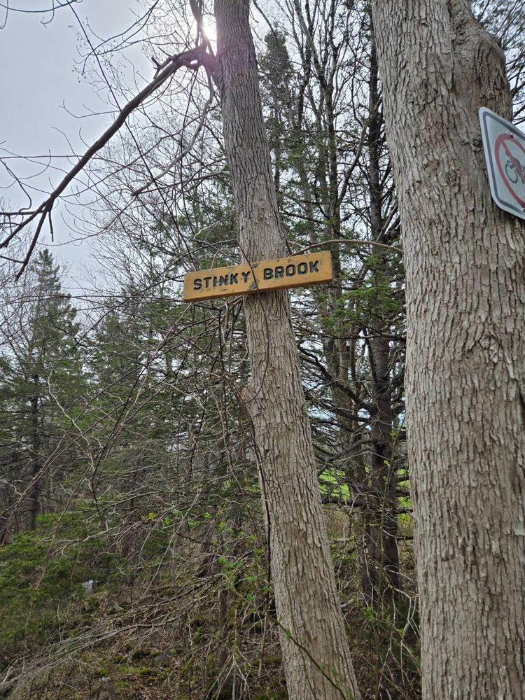 A trail signpost that says STINKY BROOK attached to a tree