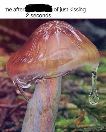 a mushroom that’s dripping a very thick and clear liquid with text that says “me after 2 seconds of just kissing”