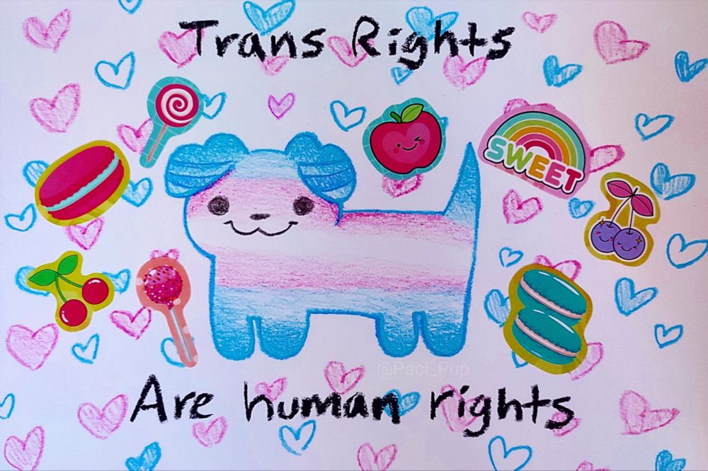 the image shows a dog colored in the trans colors with little treats surrounding them and trans colored hearts. there’s text around that say “trans rights are human rights”