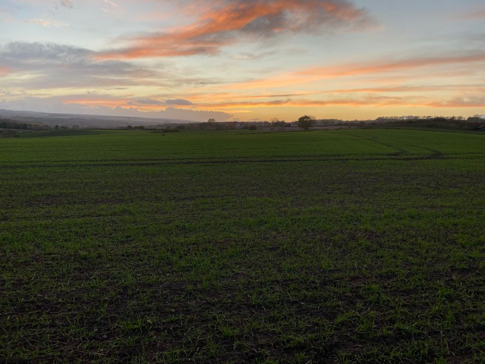 View looking towards the sun setting over the Tyne valley