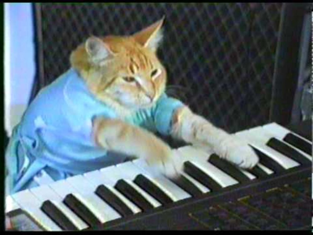 "Play Him Off, Keyboard Cat" by Charlie Schmidt