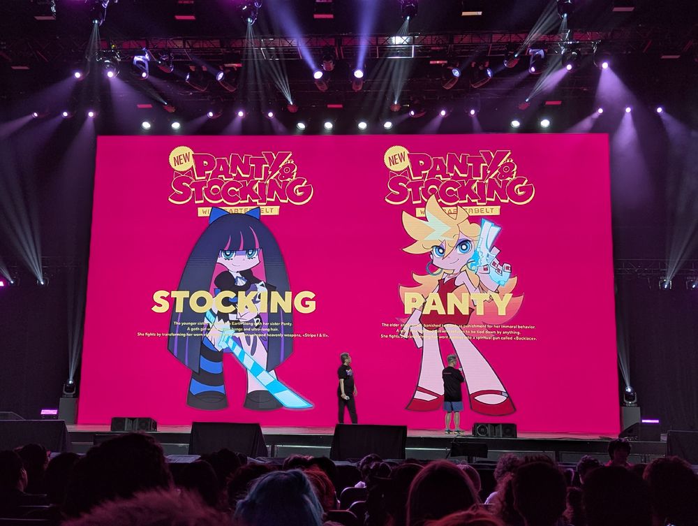 Stocking and Panty intro slide