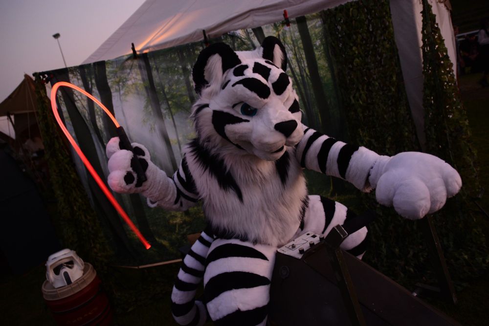 Imma whip ya!
