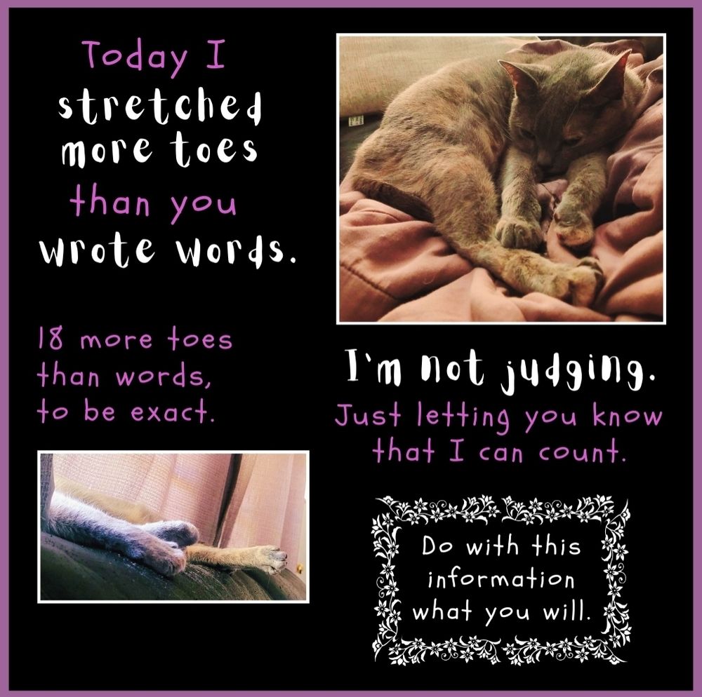 Black background with mauve pink frame. Upper right photo of sleepy cat (dilute tortoiseshell) curled up on couch and stretching out legs and toes. Bottom left photo of same cat on back of couch, camera looking up, only stretched out legs and toes visible. 4 blocks of text in white and pink: Today I stretched than you wrote words. 18 more toes than words, to be exact. I'm not judging. Just letting you know that I can count. Do with this information what you will.