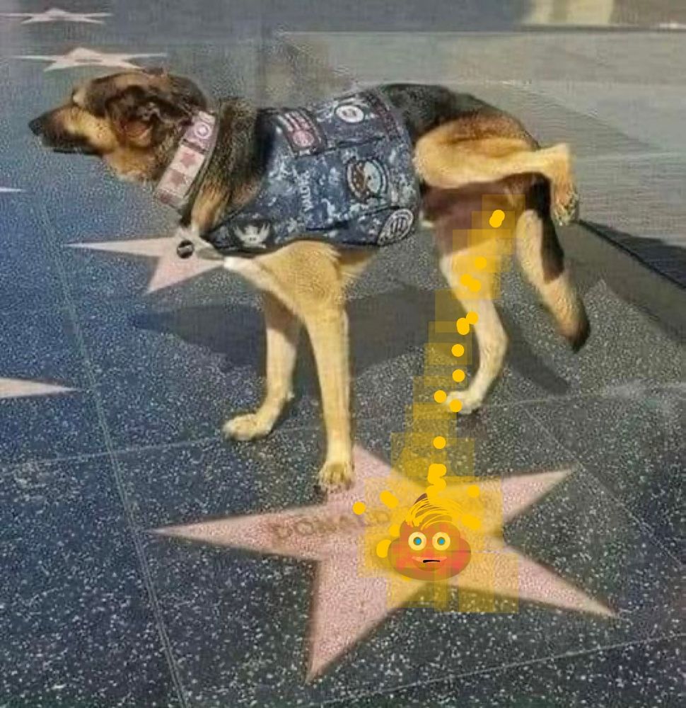 Comment image