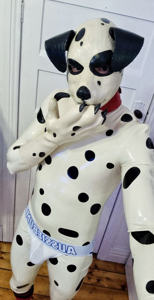 Me in a shiny dalmatian patterned catsuit and jockstrap gesturing mischievously