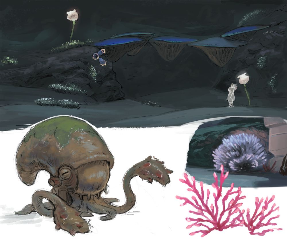A digital illustration of creatures and environments from ffxiv. There is a natural bridge made by coral formations, a nautilus-like creature, a bio-luminescent sea plant, and some bright pink coral. Ardbert is in one of the environments, looking out into the scenery