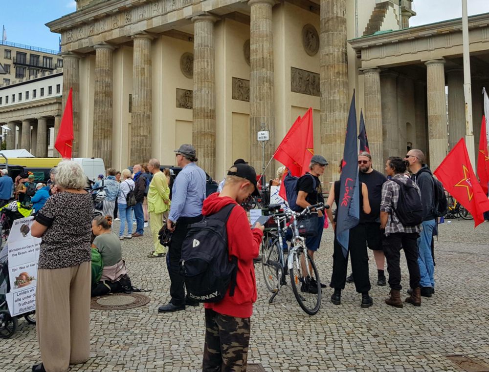 Zu sehen sind Anhänger*innen der verschwörungsideologischen Gruppierung Freie Linke.