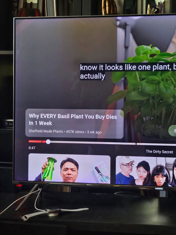 my tv displaying a YouTube video with the title "why every basil plant you buy dies in 1 week" 