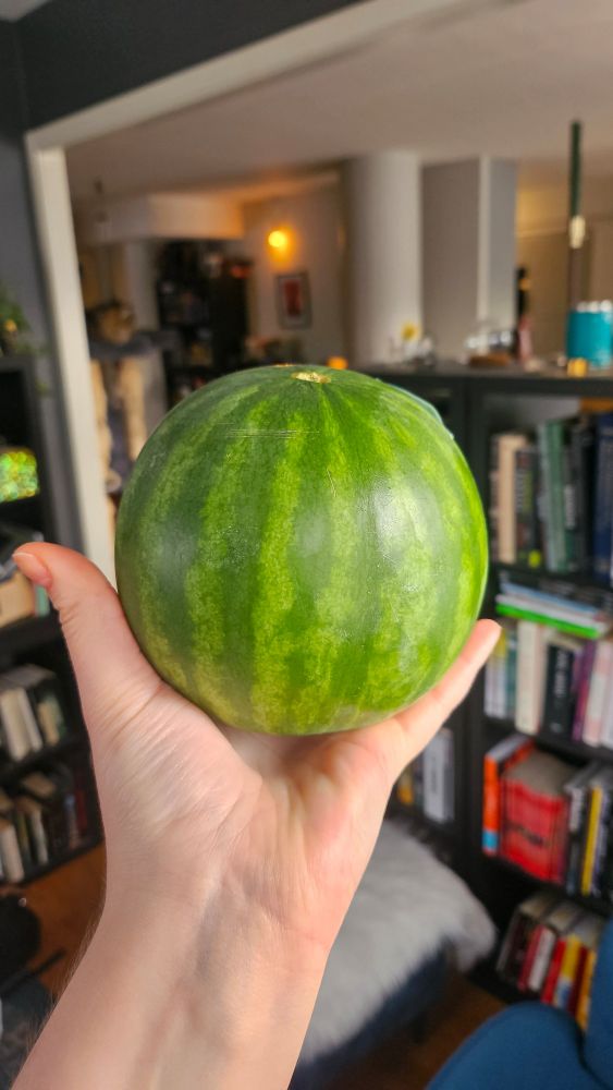 uma melancia INTEIRA que cabe na minha mão, simplesmente