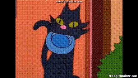 a black cat with green eyes and a blue scarf around its neck is standing next to a door .