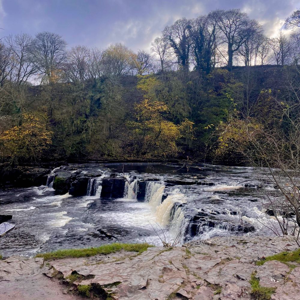 Ayesgarth Falls with multiple waterfalls by a wooded area