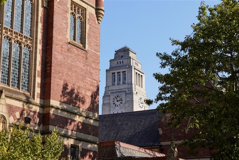 View of the Barkinson Building Tower through trees.