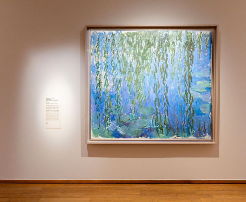 Claude Monet
"Nymphéas avec rameaux de saule", vers 1916-1919.
Paris, lycée Claude-Monet
© Paris, lycée Claude-Monet / photo : Octave Bénard