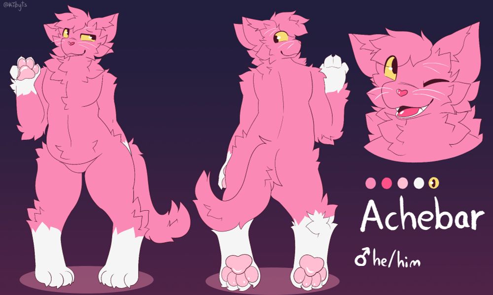 pink cat