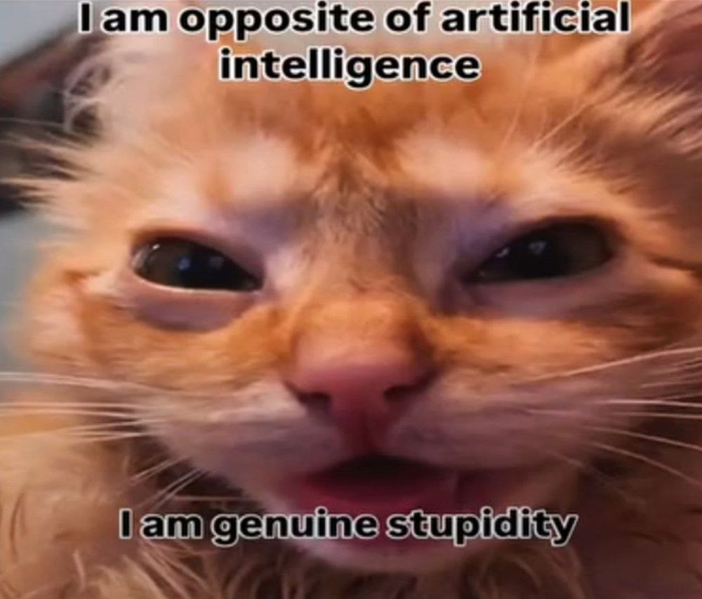 [Picture of a silly cat]

I am opposite of artificial intelligence

I am genuine stupidity