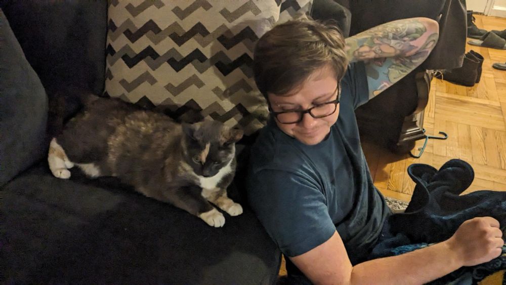 A cat lying on a couch next to a person