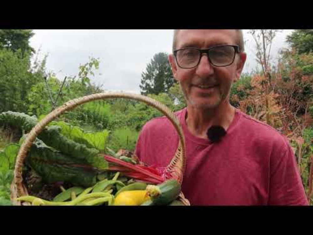 'Intercropping' to get the most from your veggie patch