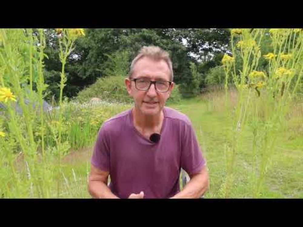 No More Beewashing! Why beekeeping doesn't help conserve bees.