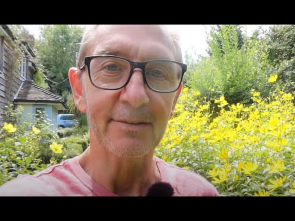 Come wander about my garden jungle in a fabulous year for insects!