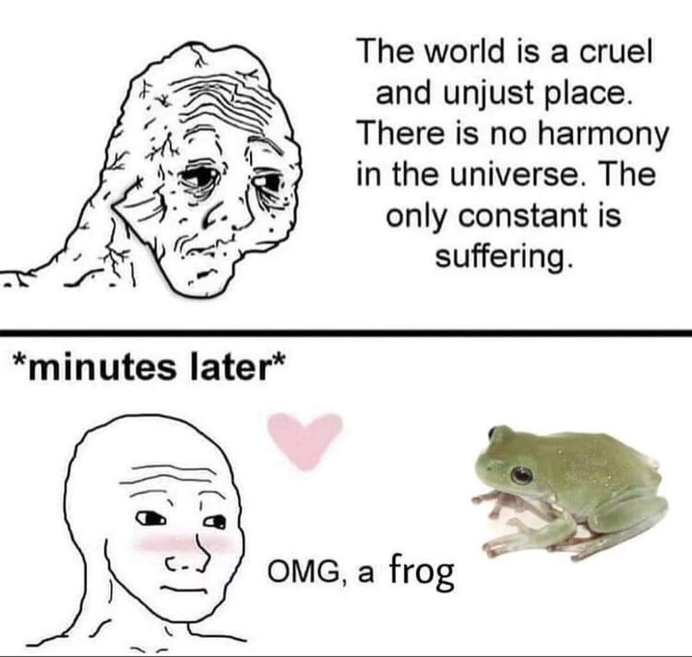 Two panel meme:
First panel - a shrunken, shriveled face on the left, on the right, the text, "The world is a cruel and unjust place. There is no harmony in the universe. The only constant is suffering."
Second panel - top of panel, "*minutes later*", below that, a normal face blushing. In the middle of the panel, a pink heart, with the text below, "OMG, a frog". On the right, a green frog. 