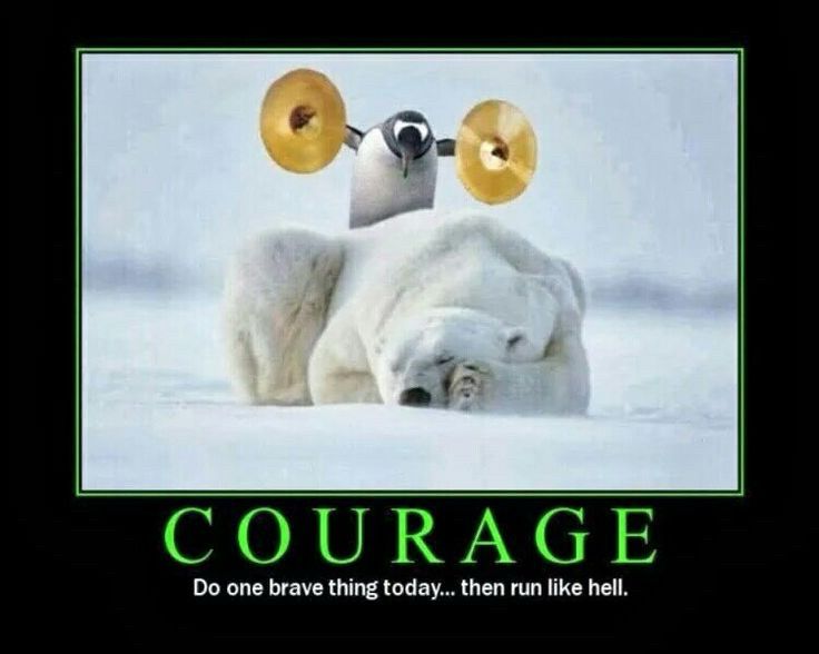 COURAGE 
Do one brave thing today… then run like hell. 

(Beneath image of penguin about to bring two musical symbols together as penguin sits on top of a sleeping polar bear.)
