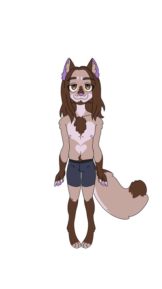 An anthropomorphic coyote with long brown hair, a brown beard, hazel eyes, and tan and lavender markings. He is standing in a neutral pose as the image is meant to be a reference. He is wearing dark navy boxer briefs and has a lazy smile. 