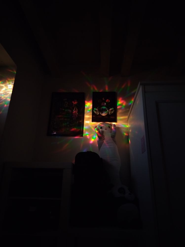 Auf dem Bild ist eine Zimmerwand mit Bildern und einem Kuscheltier davor zu sehen. Die Wand wird in Regenbogenfarben vom Fenster angestrahlt.