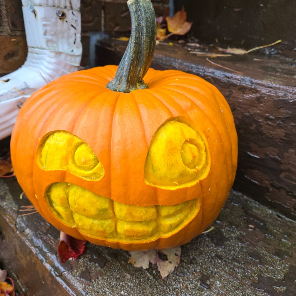 A photo of a jack-o'-lantern carved with a cheeky grin.