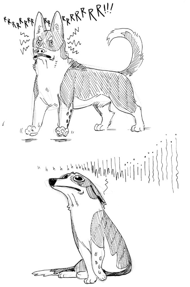 Drawings of a long, short dog with pointy ears - in one drawing, he is alert, grimacing and nostrils flared, letting out his most ferocious growl. In the other drawing he's pathetically melting into the floor, gazing up imploringly with a whine that is so high as to be nearly imperceptible to human hearing