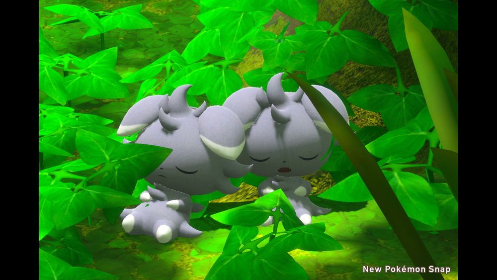 Two Espurr sleep in the sunlight amongst the plantlife near a tree trunk on the forest floor.