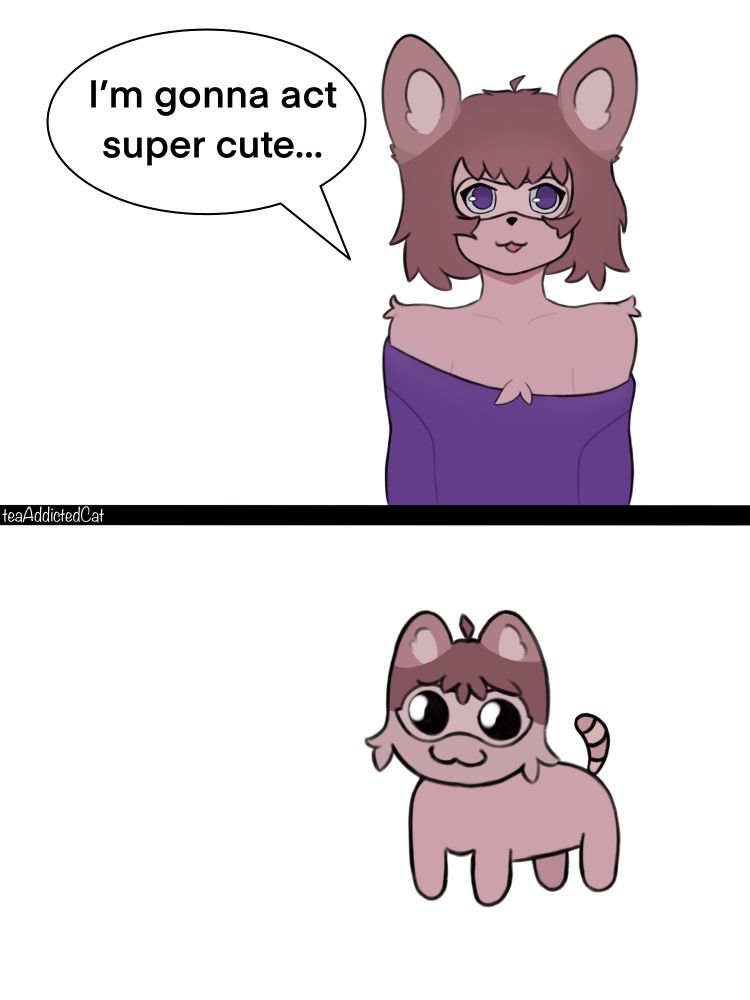 "I'm gonna act super cute..."