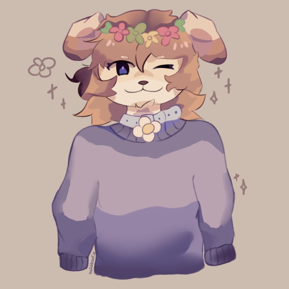 silly dog furry in sweater 