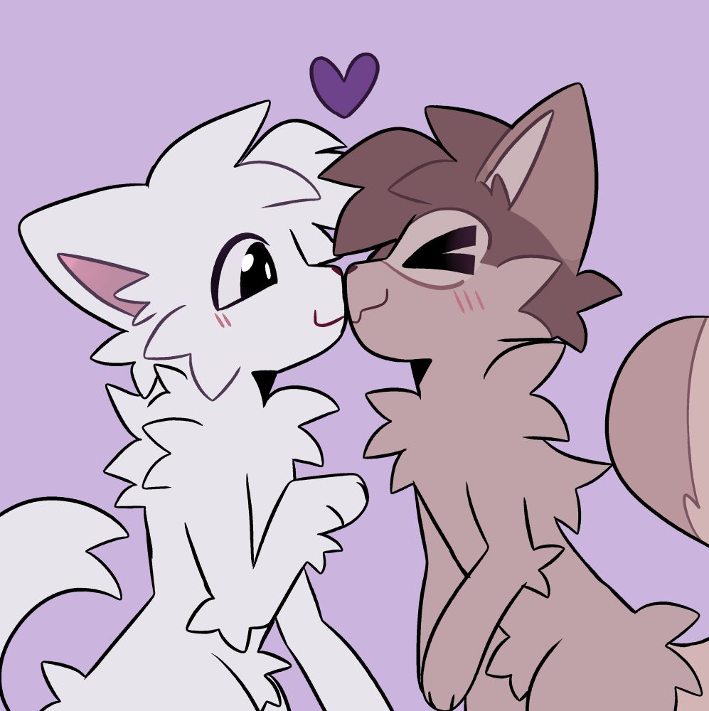 A cat and Tanuki furry kissing with a purple heart above them 