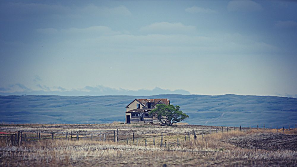 An abandoned house stands isolated on a barren landscape with a single tree beside it. The distant hills and cloudy sky evoke a sense of desolation.