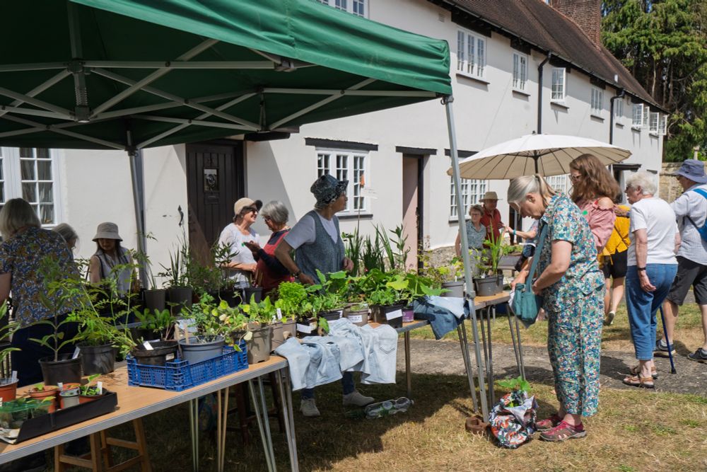 The busy plant stall at Open Gardens