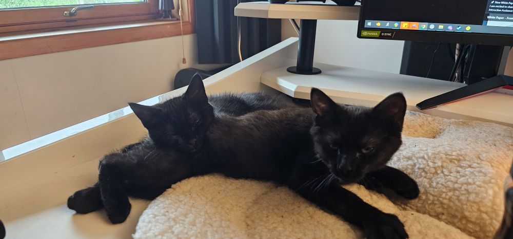 Two black cats sleeping on a cat bed. One has her head on top of the other.