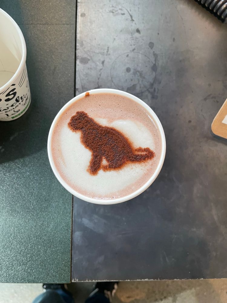 A hot chococat from Catfe in Vancouver BC with a beautiful cocoa cat. 